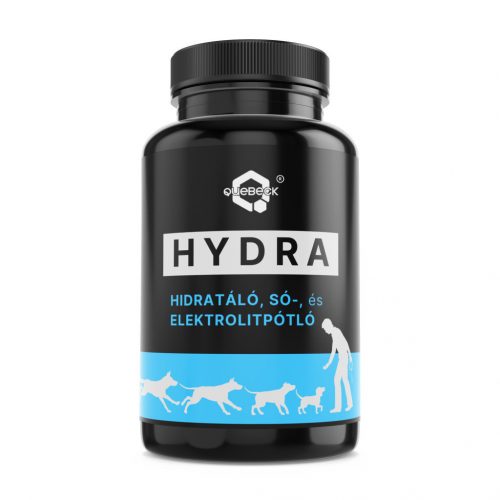 HYDRA - hidrátáló-, sópótló-, elektrolitpótló 50g